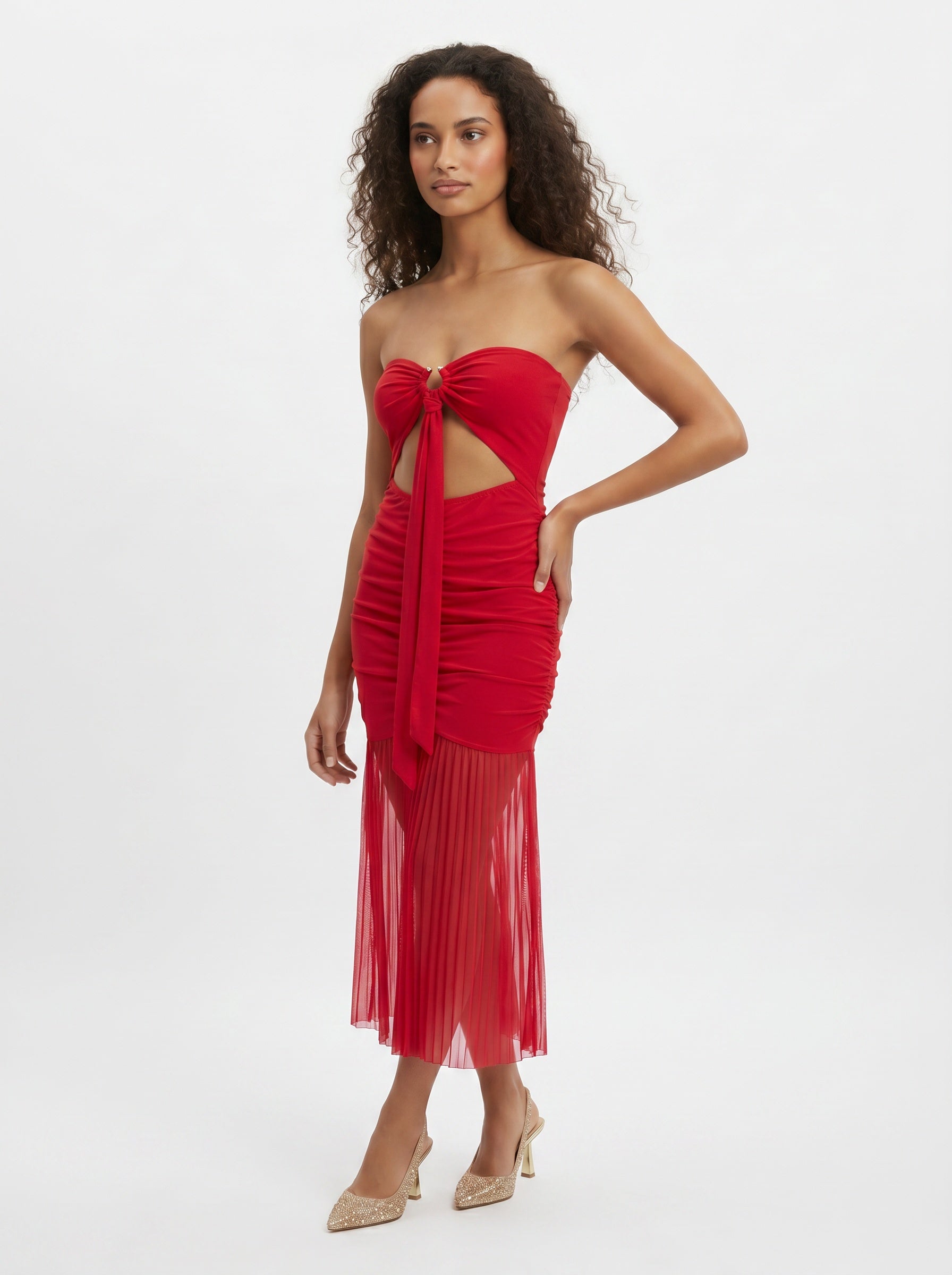 Riqueza Sheer Mesh Maxi Dress